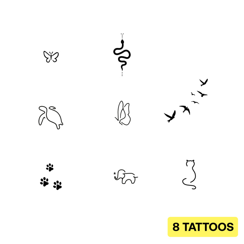 Pack Animales