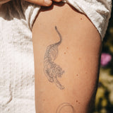 Tatuaje Tigre Tradicional