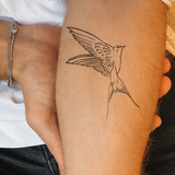 Tatuaje Pajarito