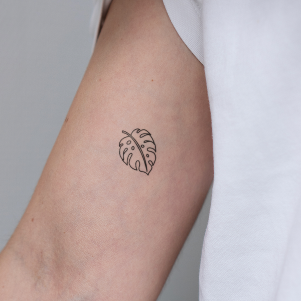 Tatuaje Hoja de Monstera