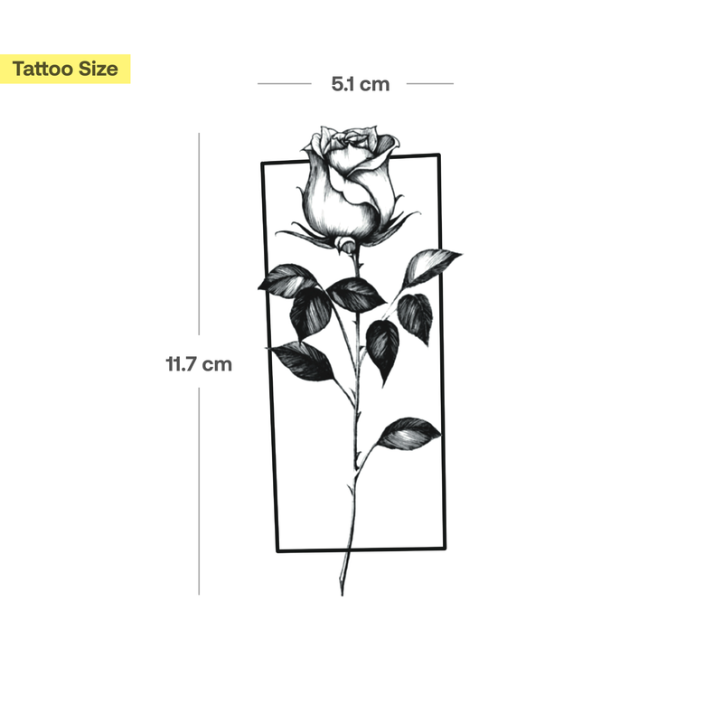 Tatuaje Rosa con marco